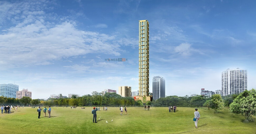 Mani The 42  Cover Image